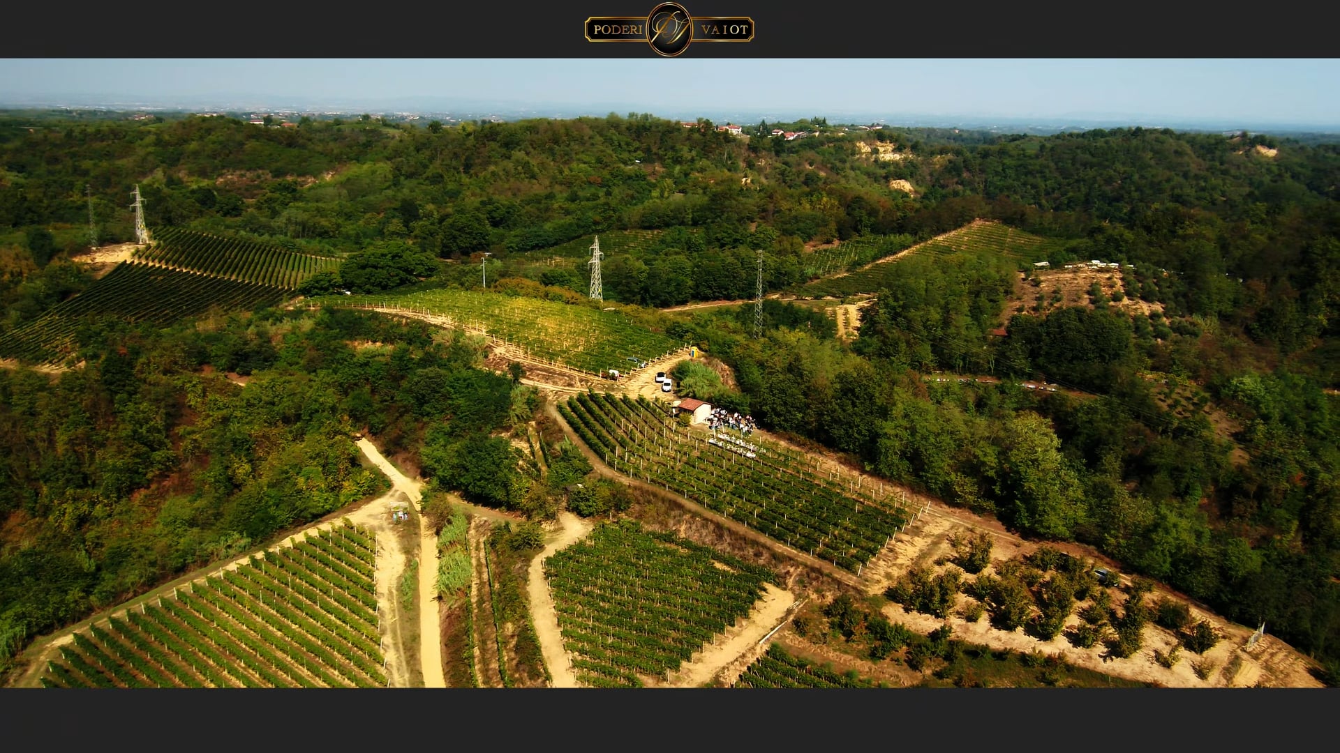 Pranzo in Vigna a Bricco Morinaldo