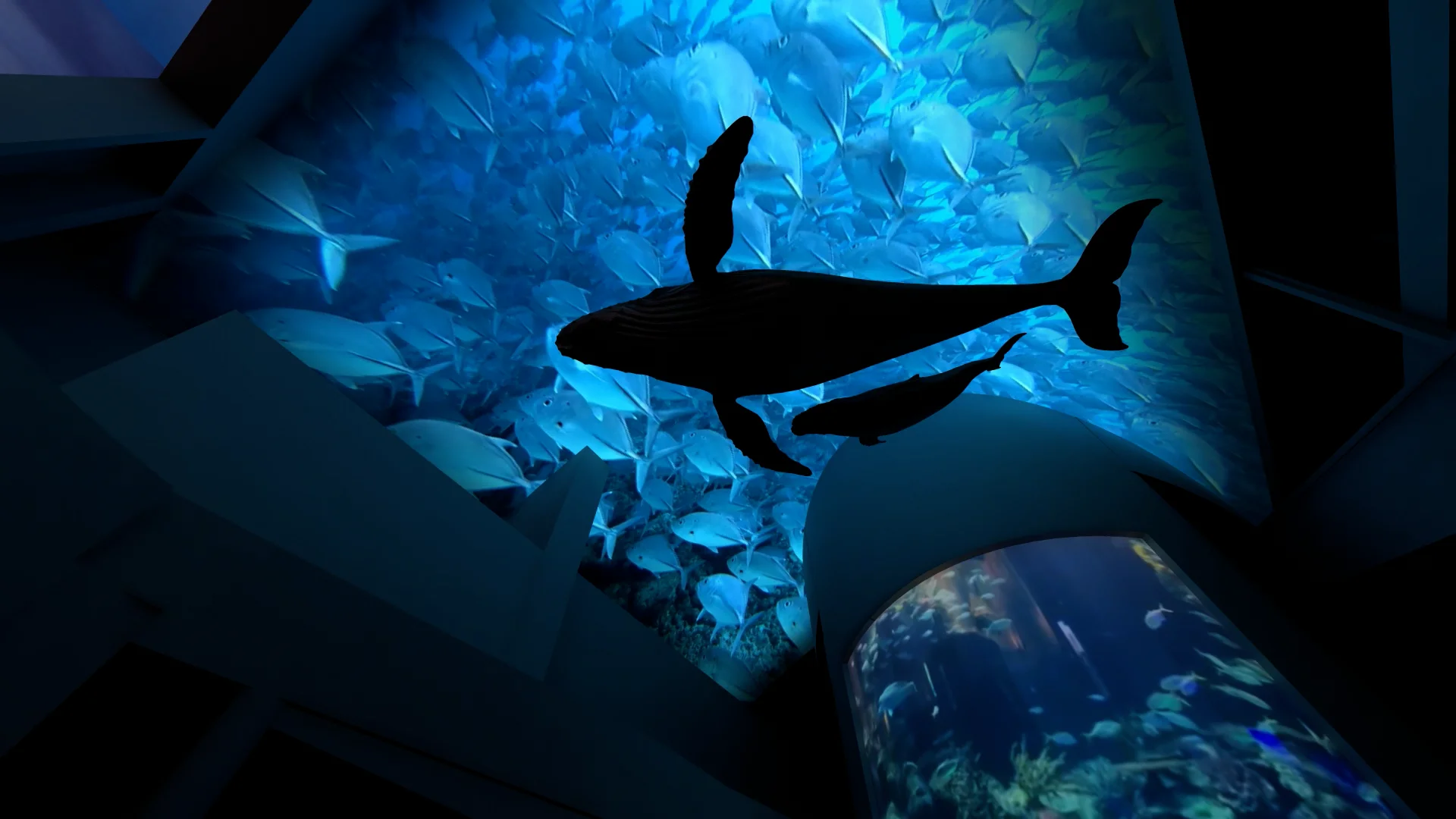 WOW_Aquarium_102621 on Vimeo