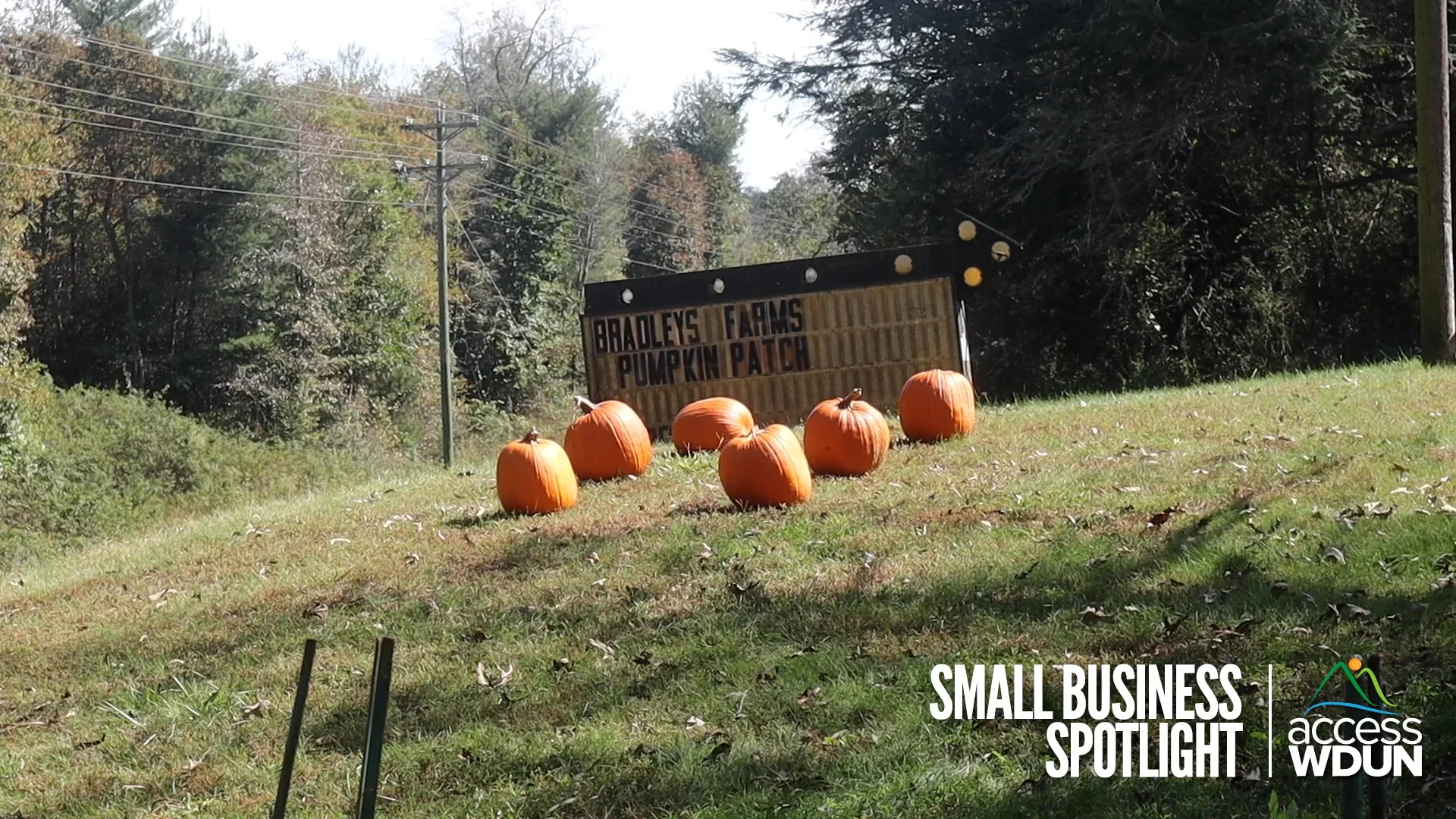 SBS Bradley's Farm on Vimeo