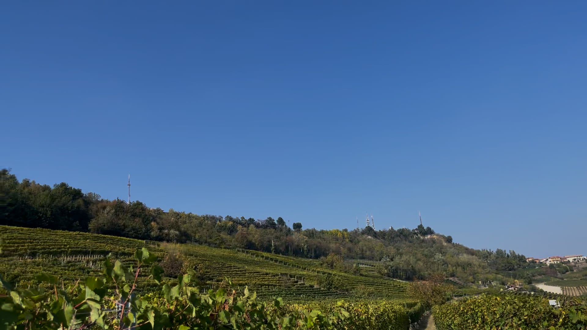 Barolo 2021 October