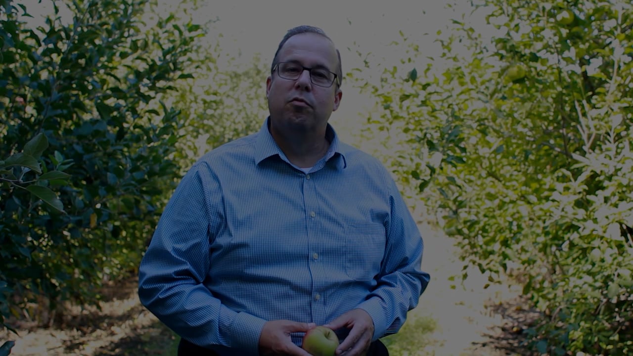 Module 4 Session 3 on Vimeo