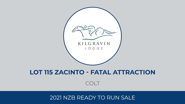 Lot 115