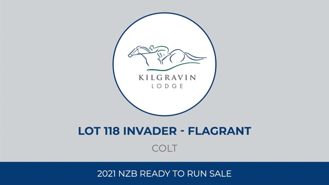 Lot 118