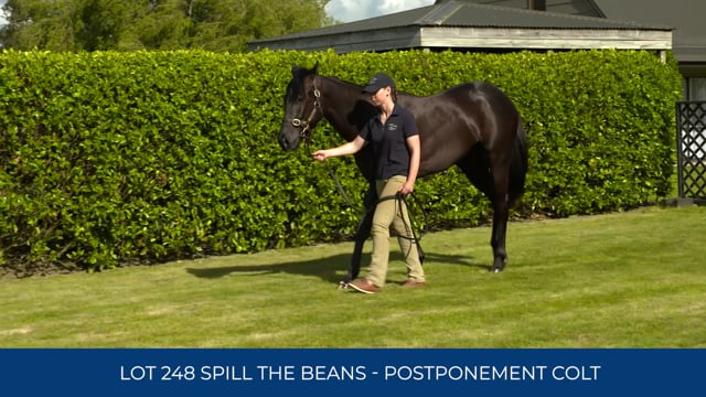 Lot 248