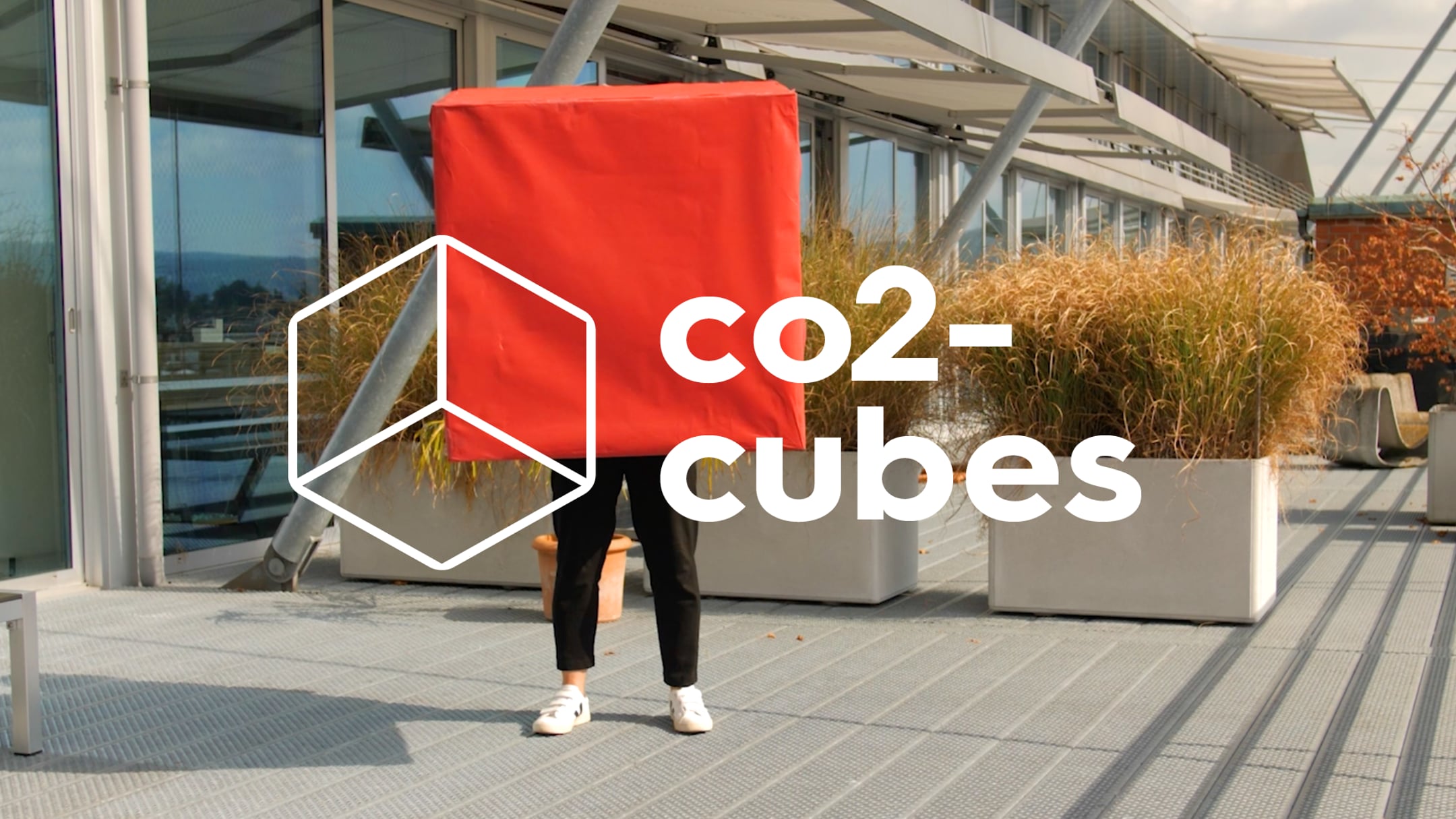 CO2-Cubes – toben, staunen und was checken.