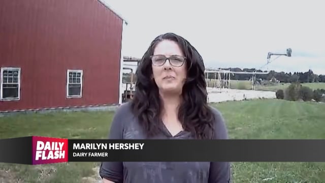 DAIRY FARMING | MARILYN HERSHEY | DailyFlash