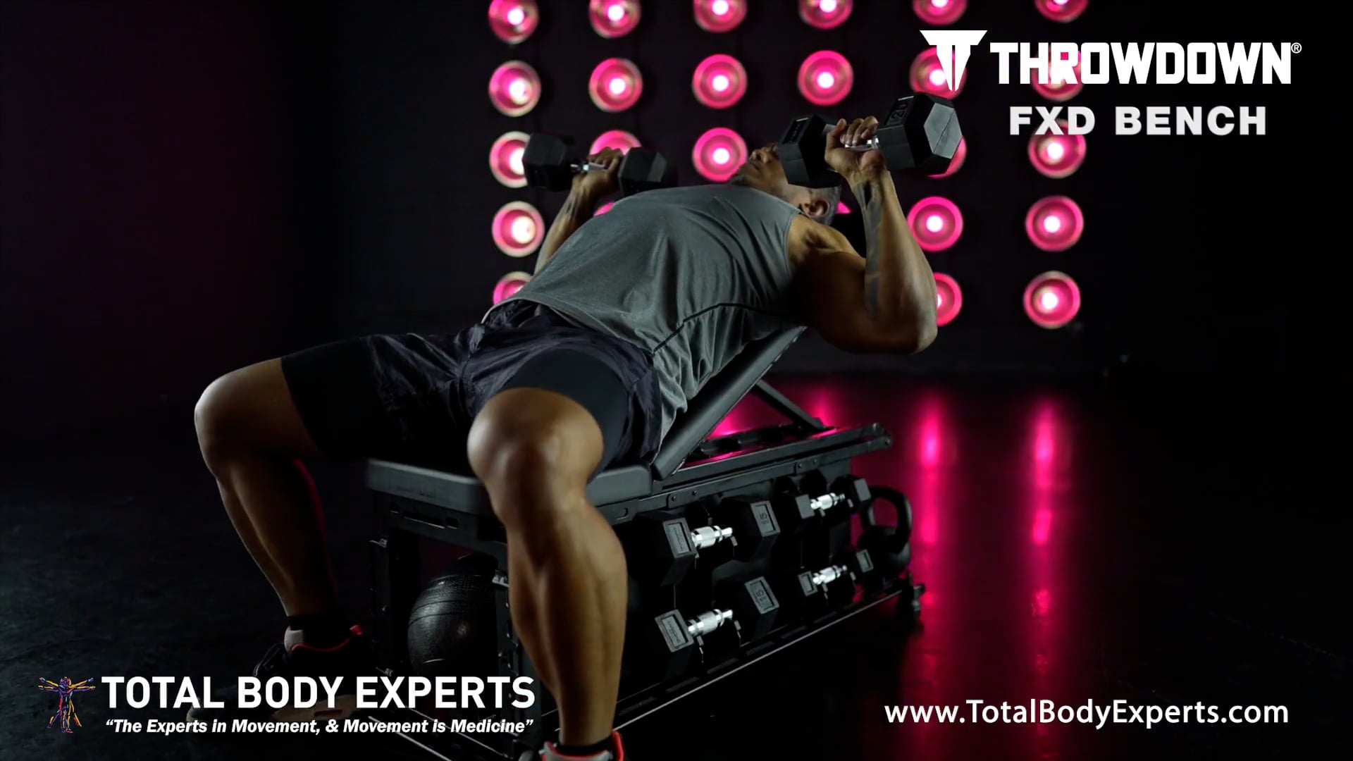 Total Body Experts
