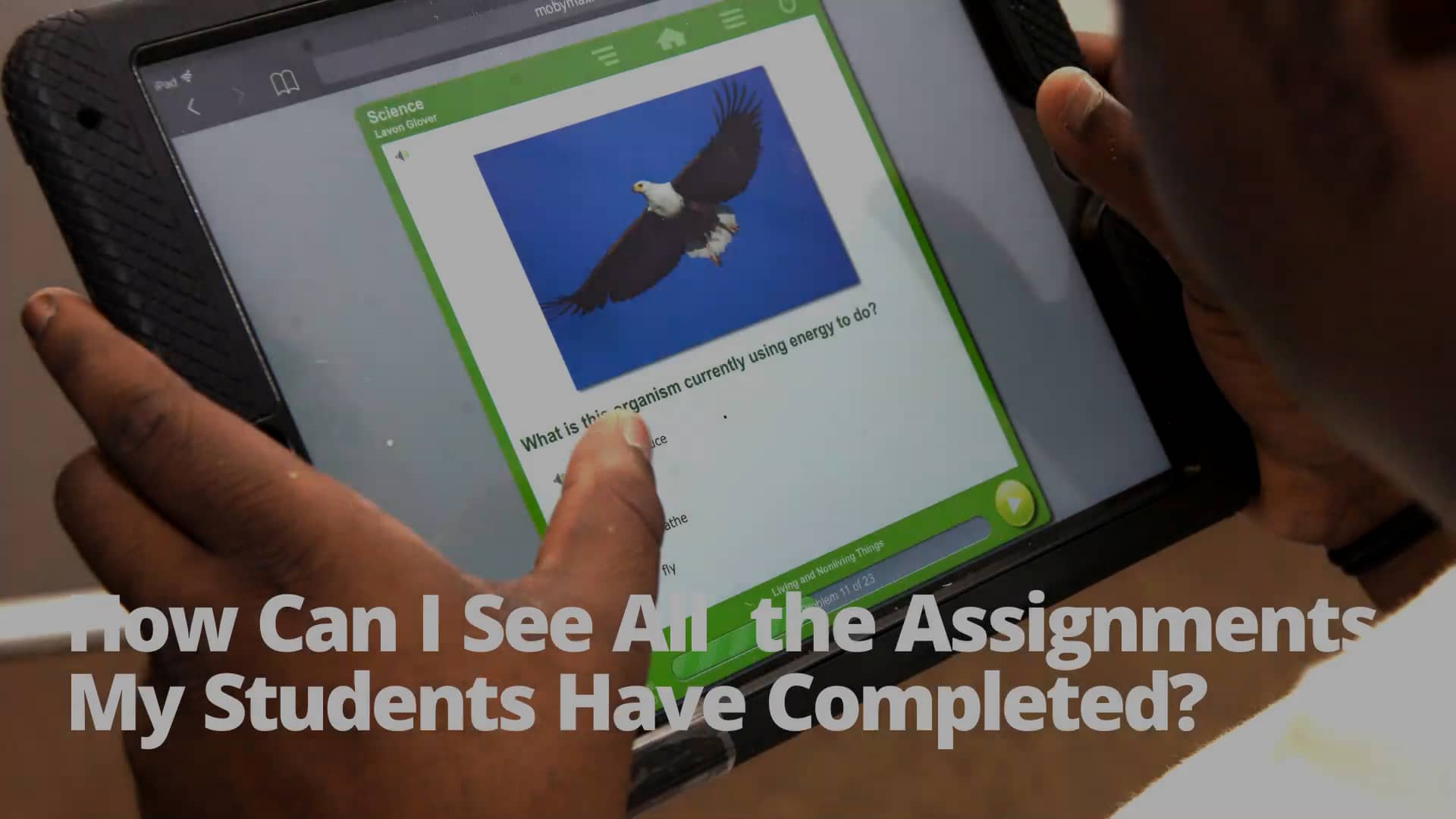 how-can-i-see-all-the-assignments-my-students-have-completed-on-vimeo