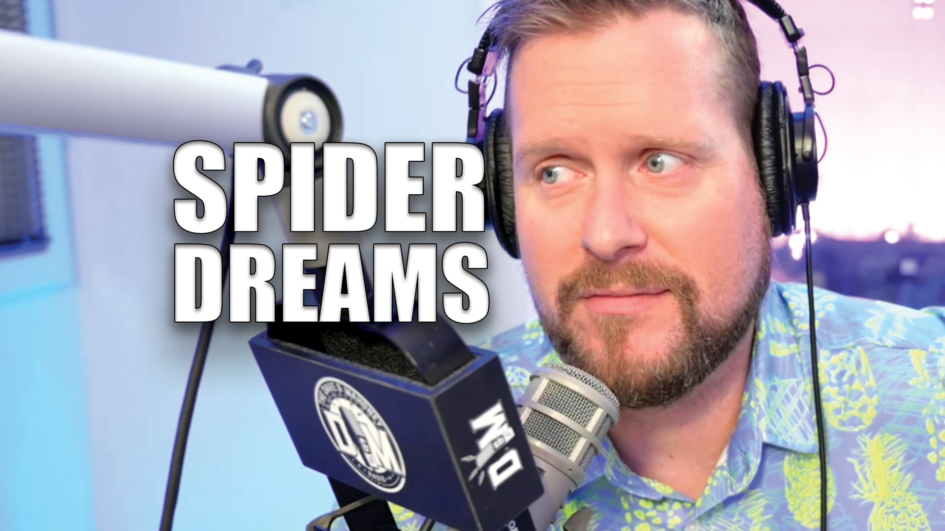SPIDERMAN WEB DREAM CAPTIONS.mp4