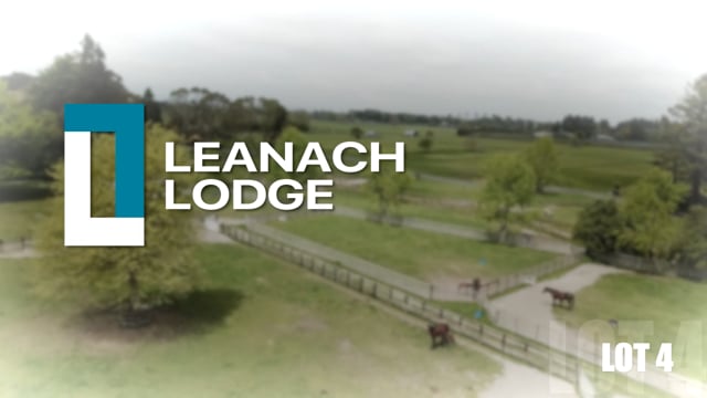 Lot 4