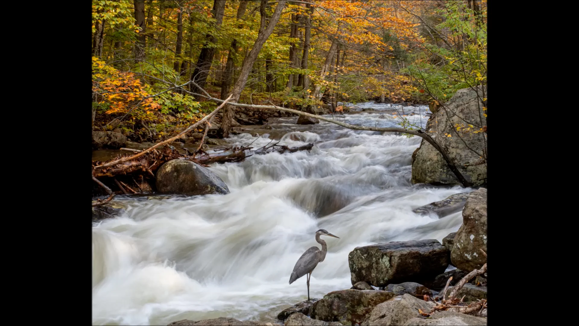 Blessed By Nature on Vimeo