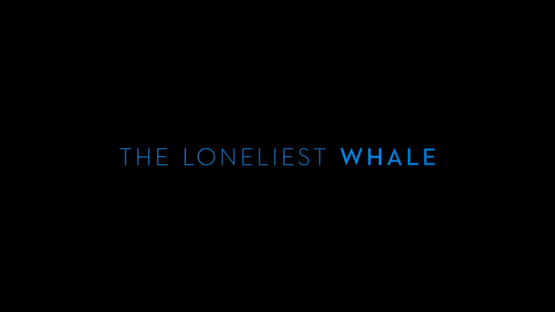 The Loneliest Whale (Trailer) on Vimeo