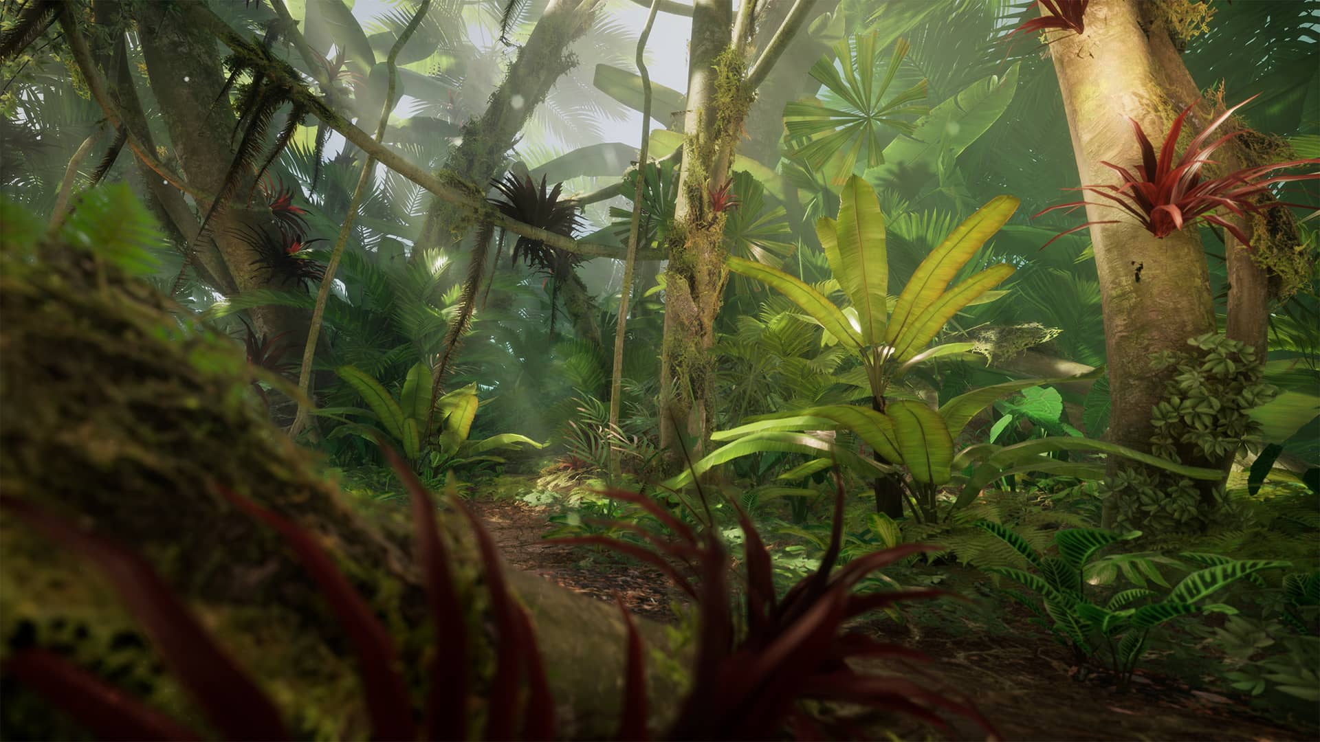 Jungle Environment | Unreal Engine 4 | PC / Console on Vimeo