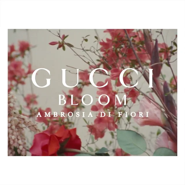 GUCCI - Bloom - Alex Amoling