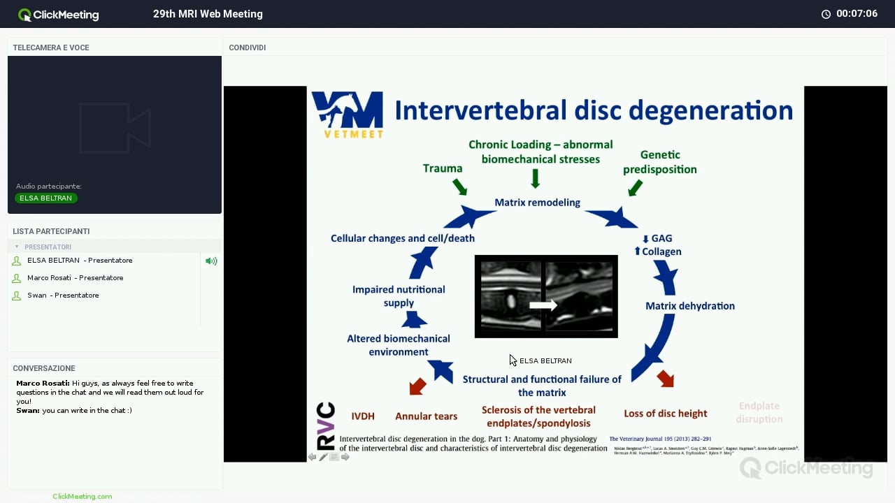 Intervertebral disc disease