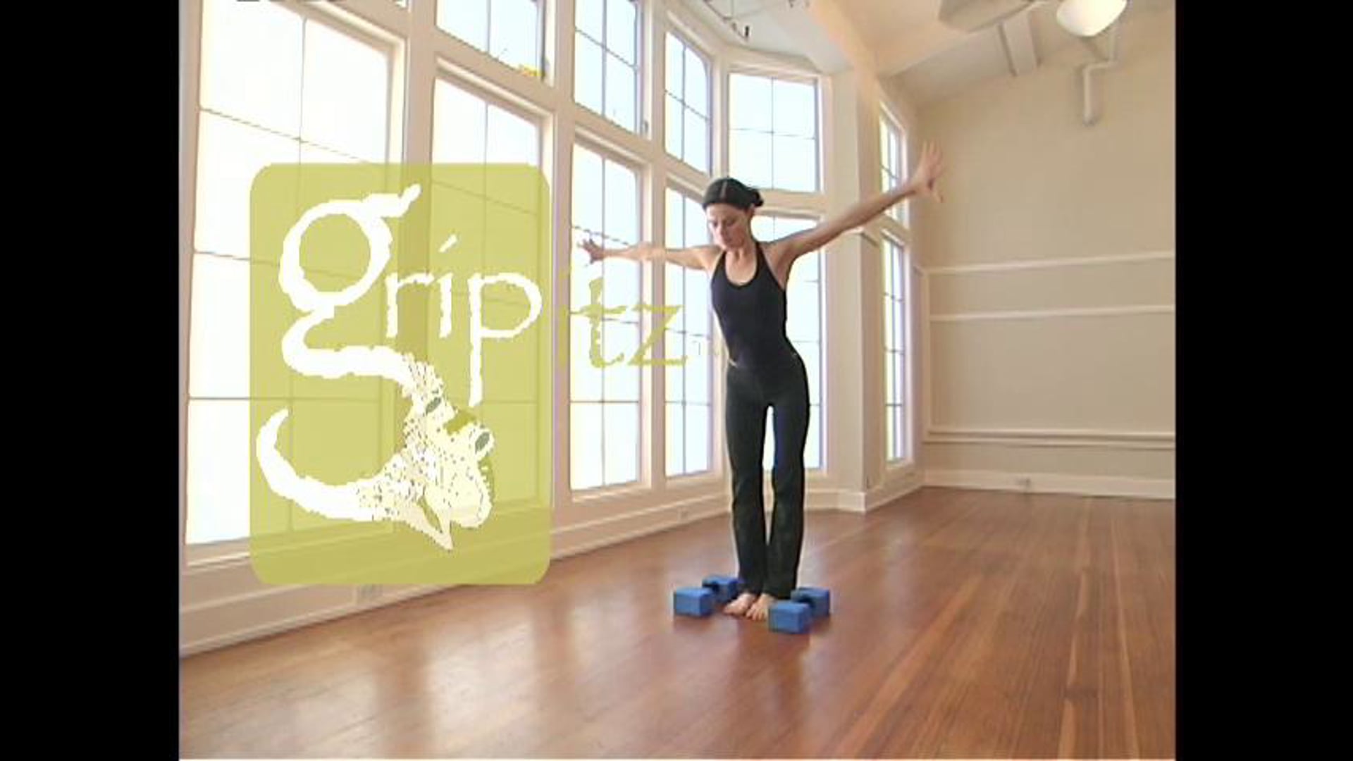Gripitz Blocks -  A visual product video