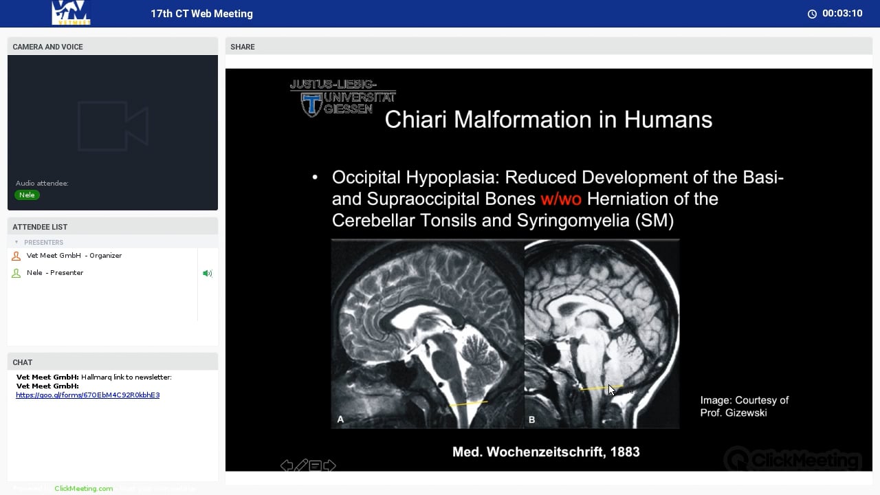 Imaging perspective on Chiari-like Malformation & Craniocervical Stenosis – Part 1