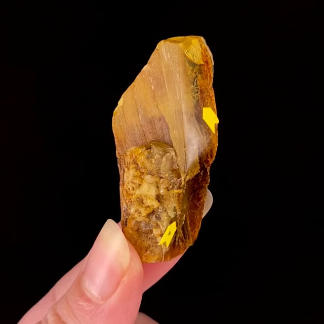 Amber with ''Air Dendrites'' and ''Wood Chip'' Inclusions