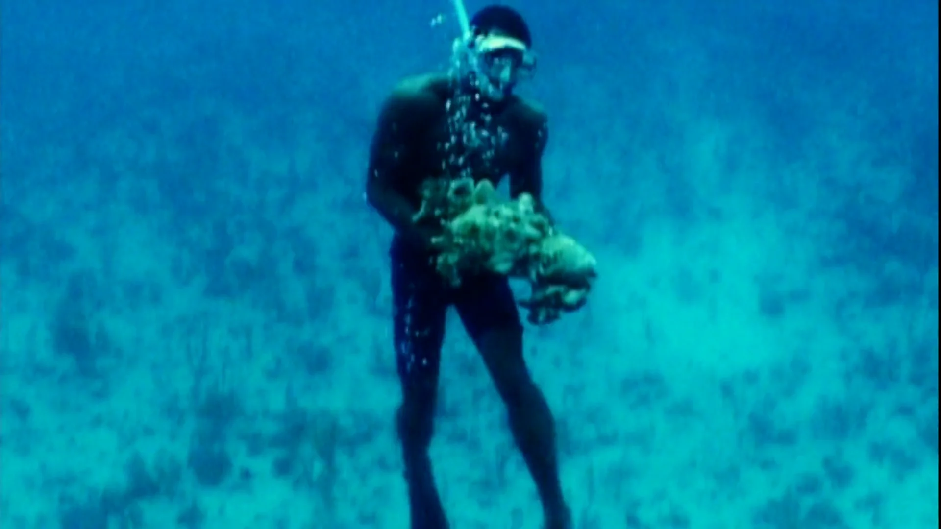 Globe Trekker Director on Vimeo