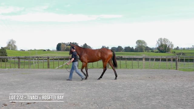 Lot 272