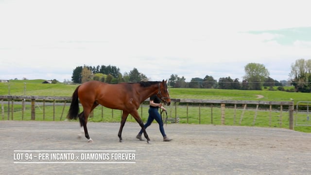 Lot 94