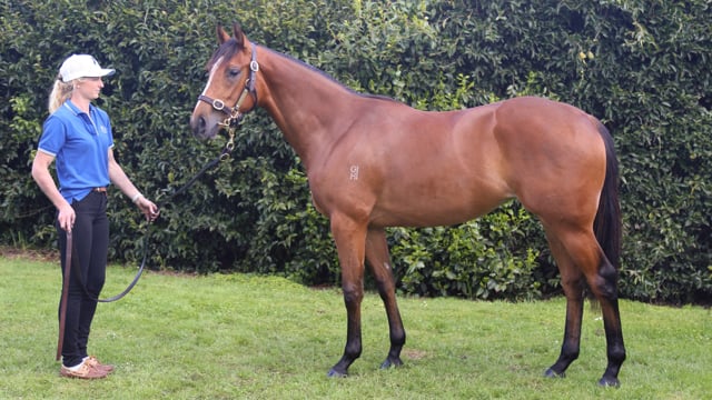 Lot 155