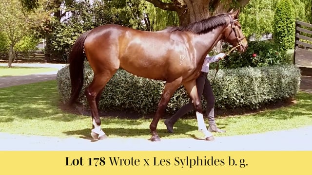 Lot 178