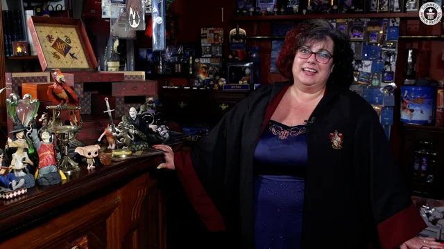 Largest Harry Potter collection confirmed with over 5,000 items