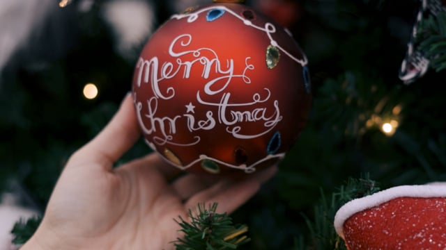Petitti Holiday Experience 2021