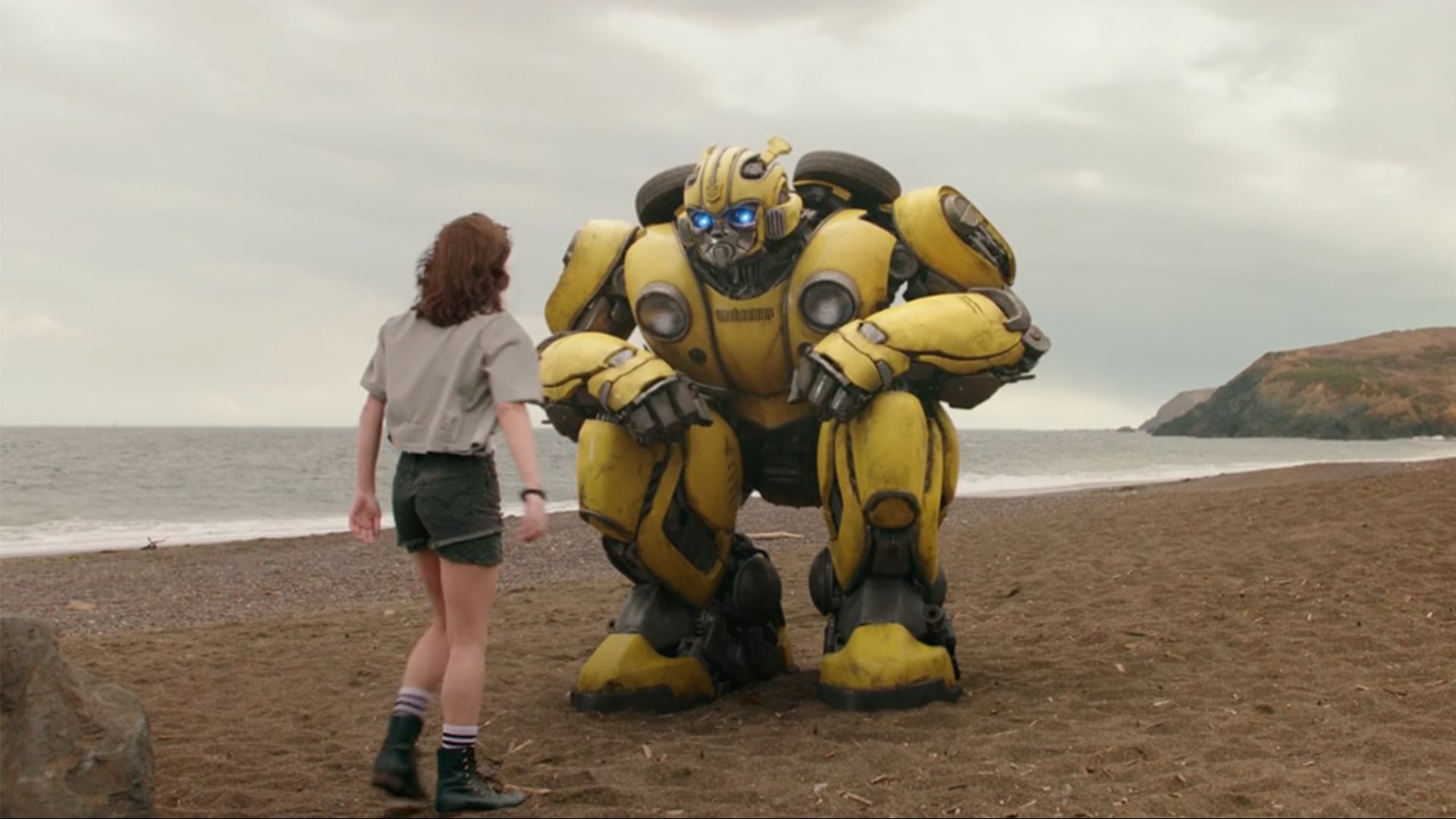 Bumblebee - TV90 "Friendship"