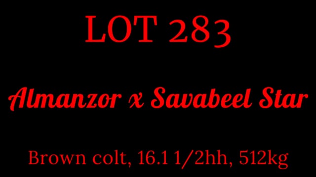 Lot 283