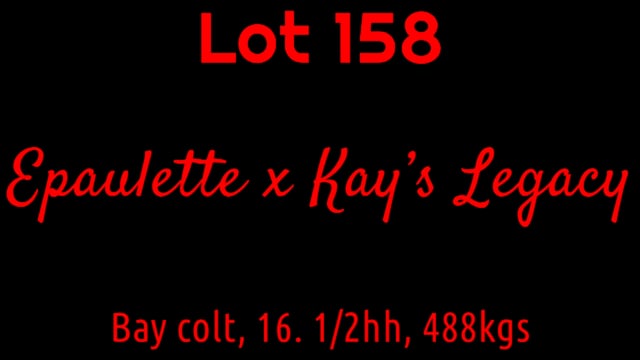 Lot 158