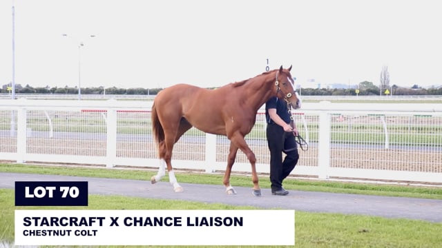 Lot 70