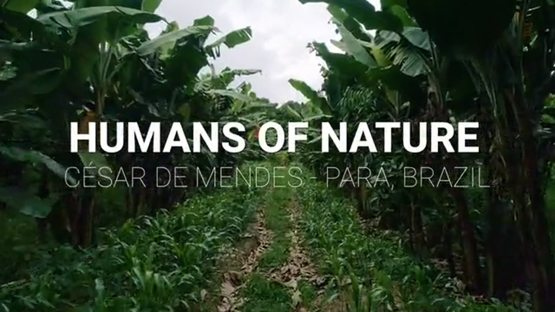 Humans Of Nature - César De Mendes