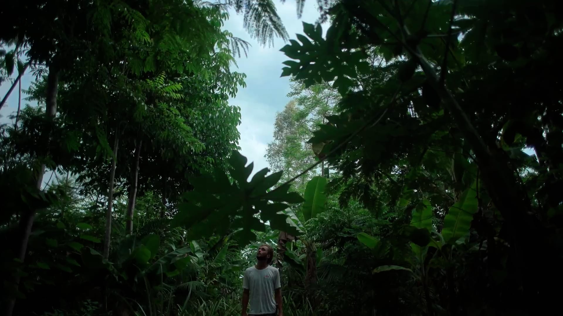 Humans Of Nature - Hudson Anauá