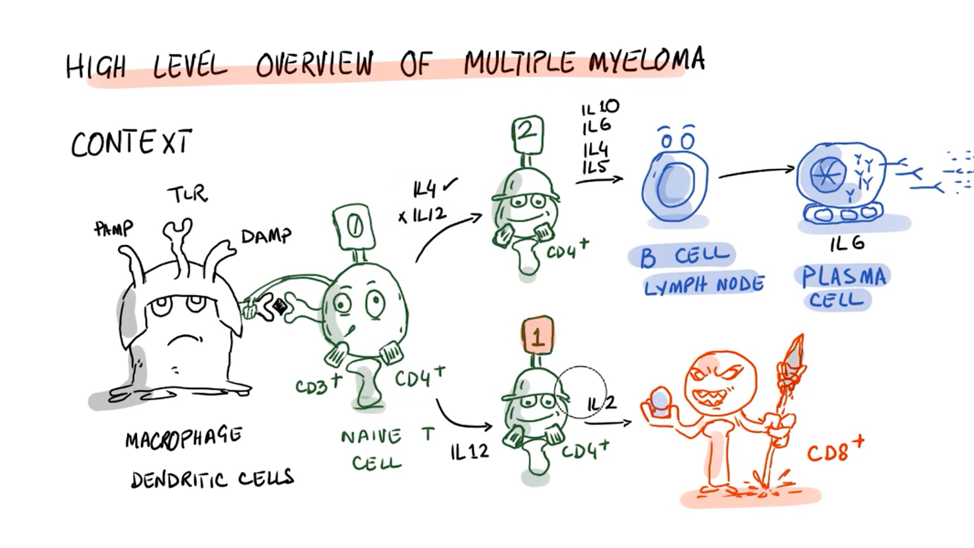 What is Multiple Myeloma?