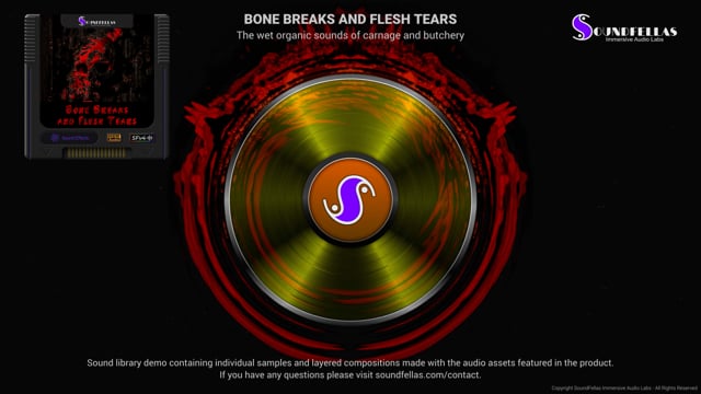 Bone Breaks and Flesh Tears - Sample Demo