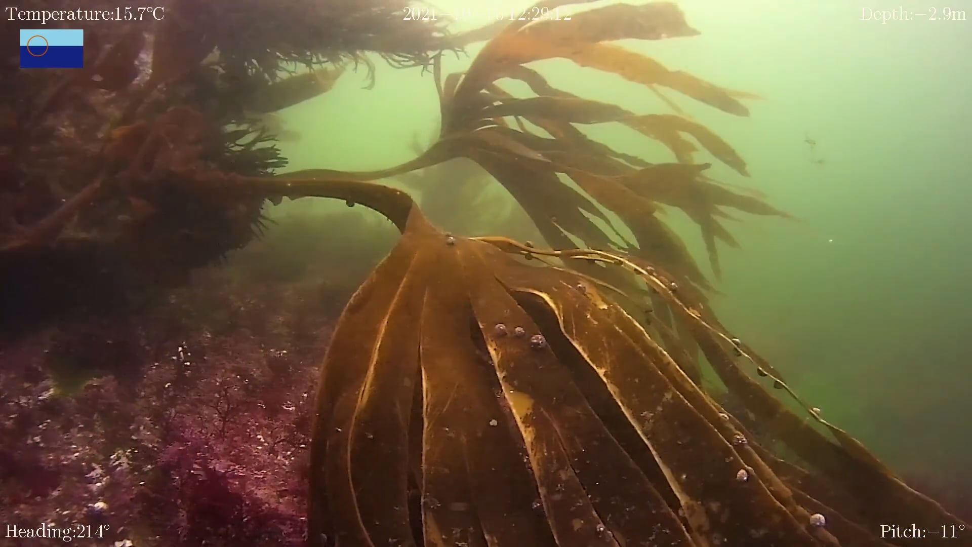 Rutas Interpretativa Submarinas en Cangas -  Praia da Congorza