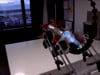 Robodog