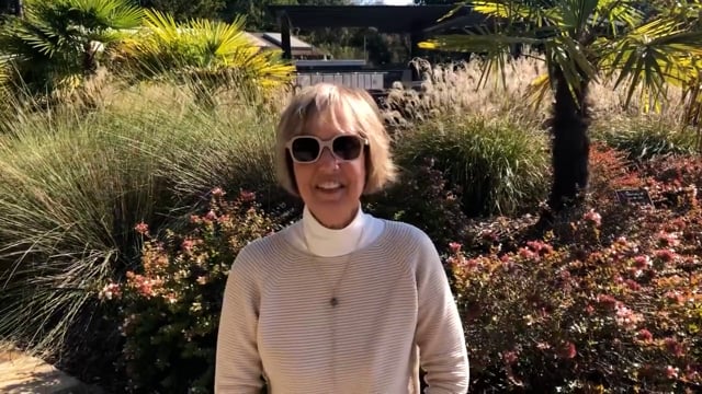Jeanette Watford: Reflecting on 1986