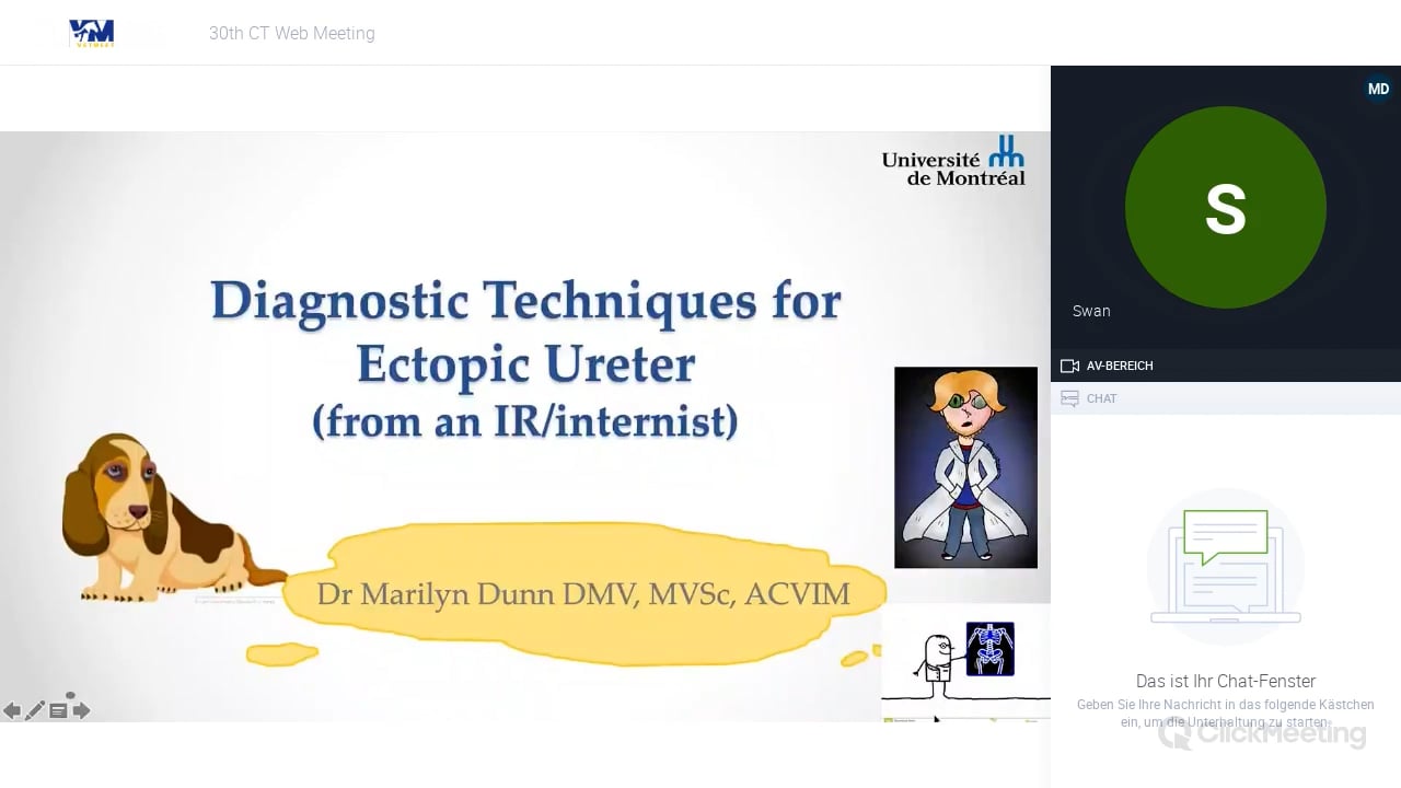 Traditional and advanced Imaging techniques for the diagnosis and treatment of ureteral ectopia – part I
