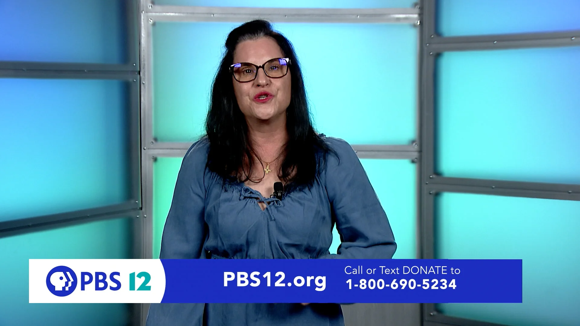 PBS12 Benise Pledge Break on Vimeo