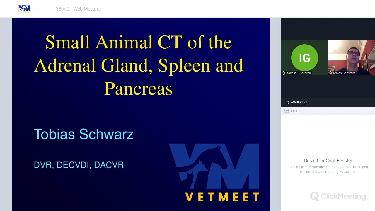 Small Animal CT of the Adrenal Glands, Spleen & Pancreas