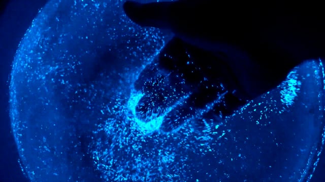 Mushlume UFO // Living Bioluminescent Aquarium video thumbnail