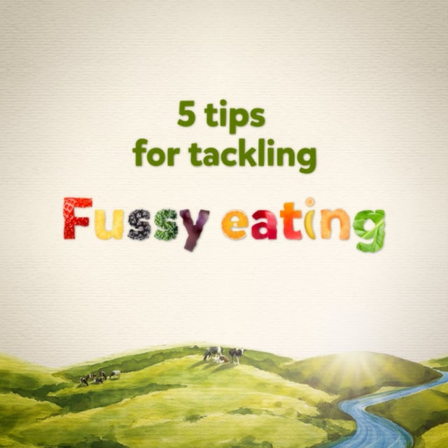 5 Tips for Tackling Fussy Eating.mp4