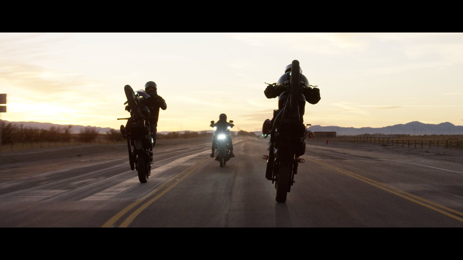 Harley Davidson Caged Bird