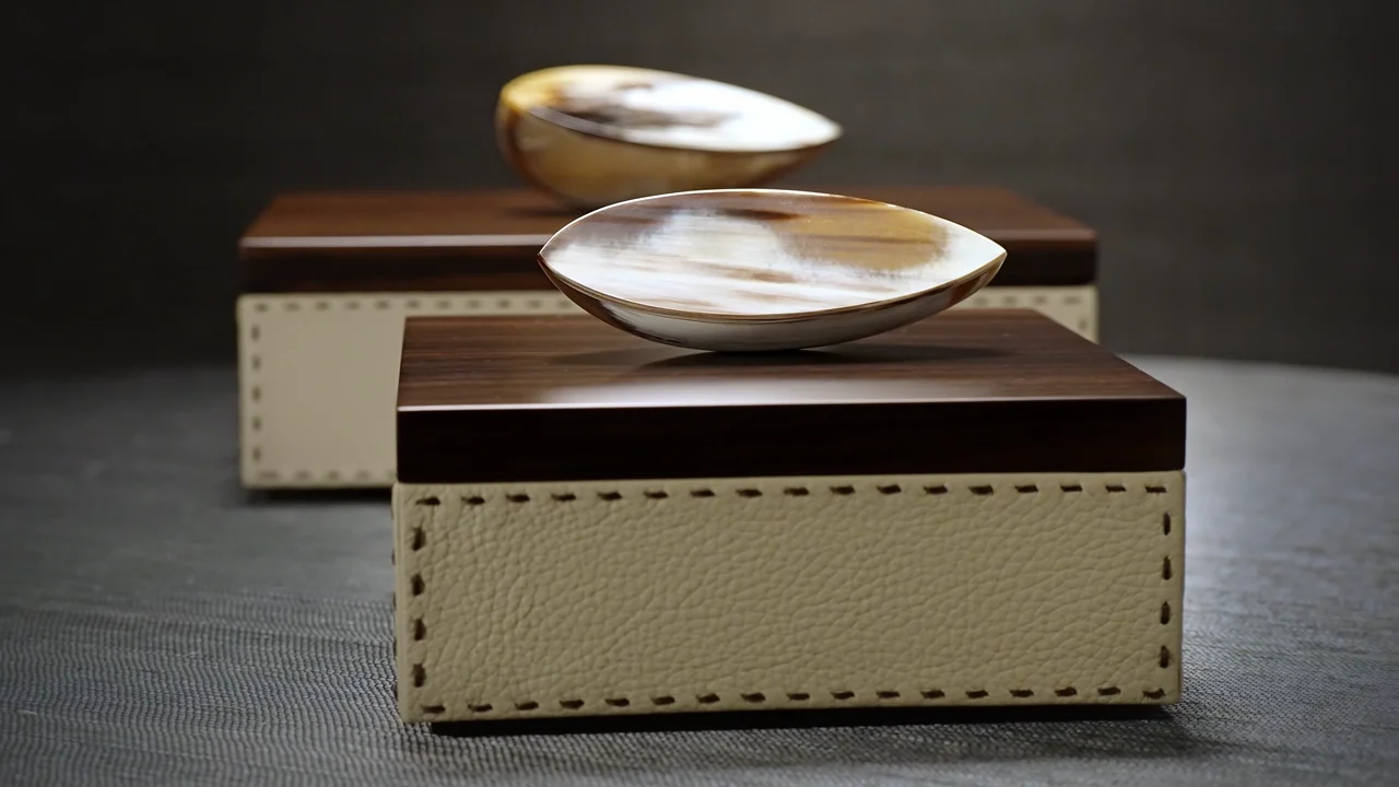 Picture frames and boxes - Capricia box in horn and Ice-cream