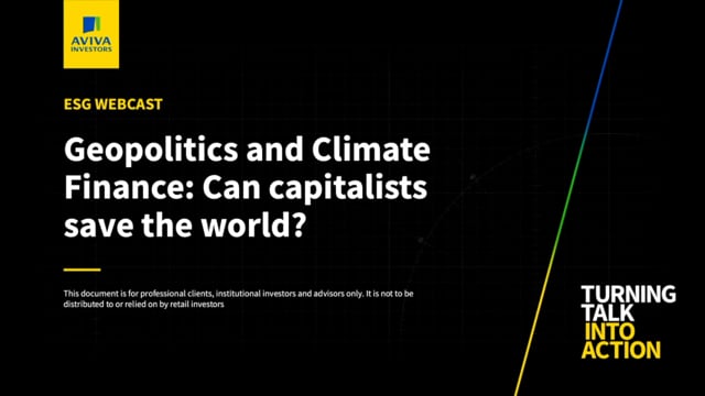 Geopolitics And Climate Finance: Can Capitalists Save The World? - Webinar placholder image