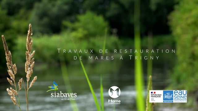 Travaux de restauration de mares