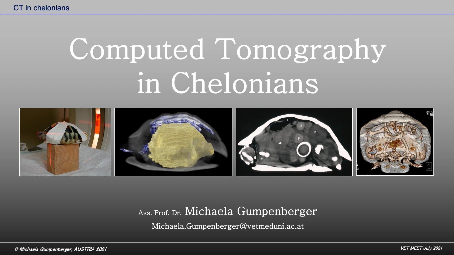 Comuted Tomography in Chelonians